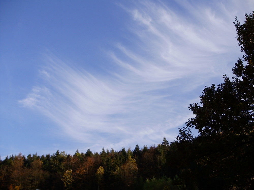 Schleierwolken