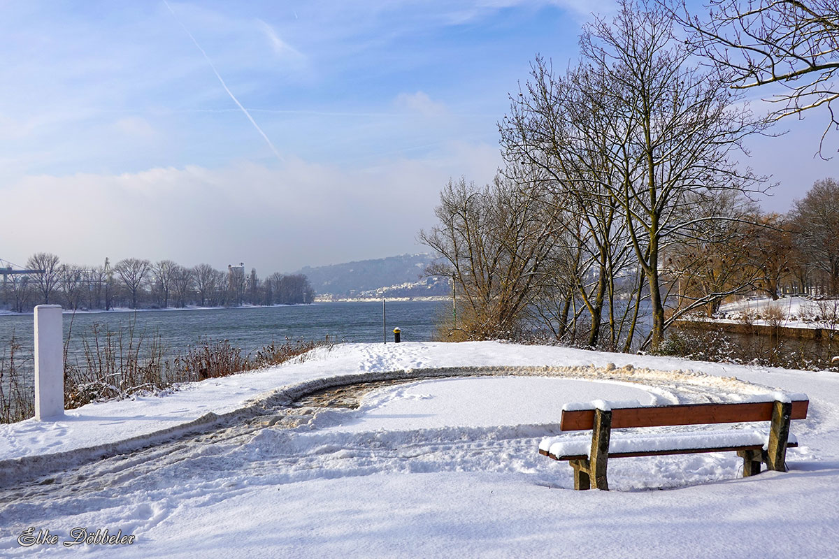 Schleife an der WIedmündung in Irlich - Wenn Rhein und wied sich treffen