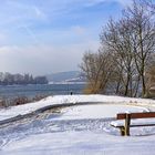 Schleife an der WIedmündung in Irlich - Wenn Rhein und wied sich treffen