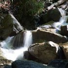 SCHLEIFMÜHLENKLAMM / Finde das Gesicht. 