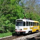 Schleifwagen im grünen