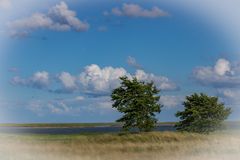 Schleimündung bei Maasholm/Ostsee III