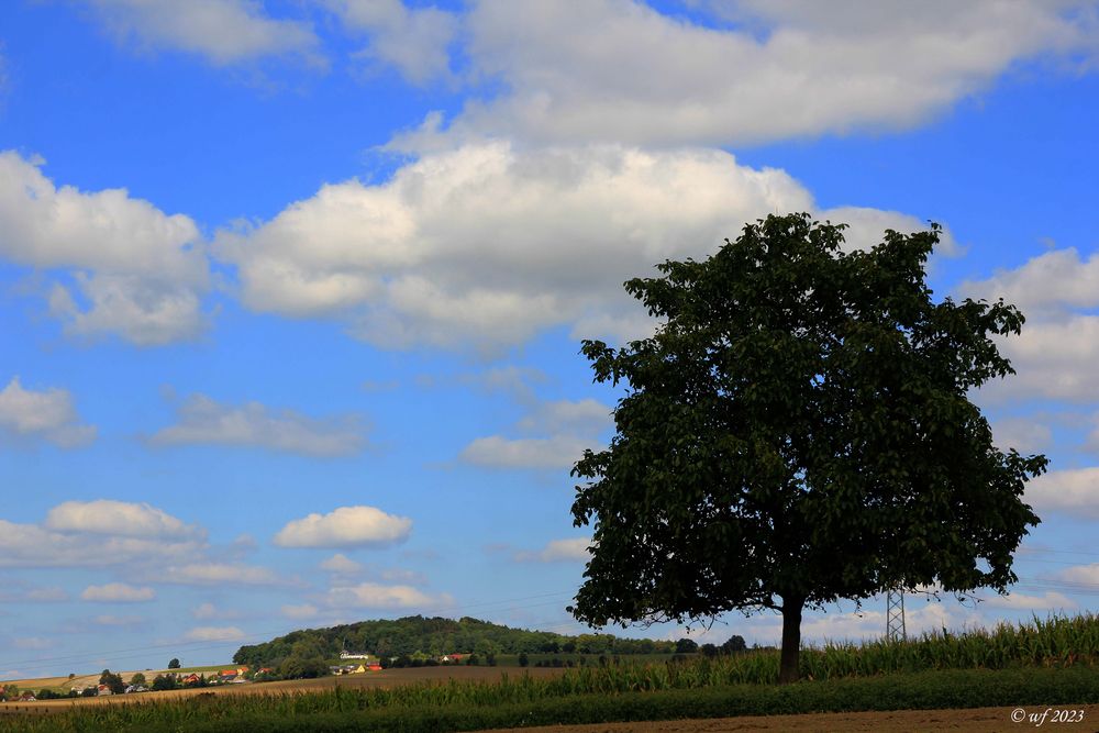 Schleißbergblick