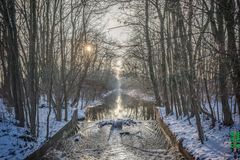 Schleissheimer Kanal im Winter