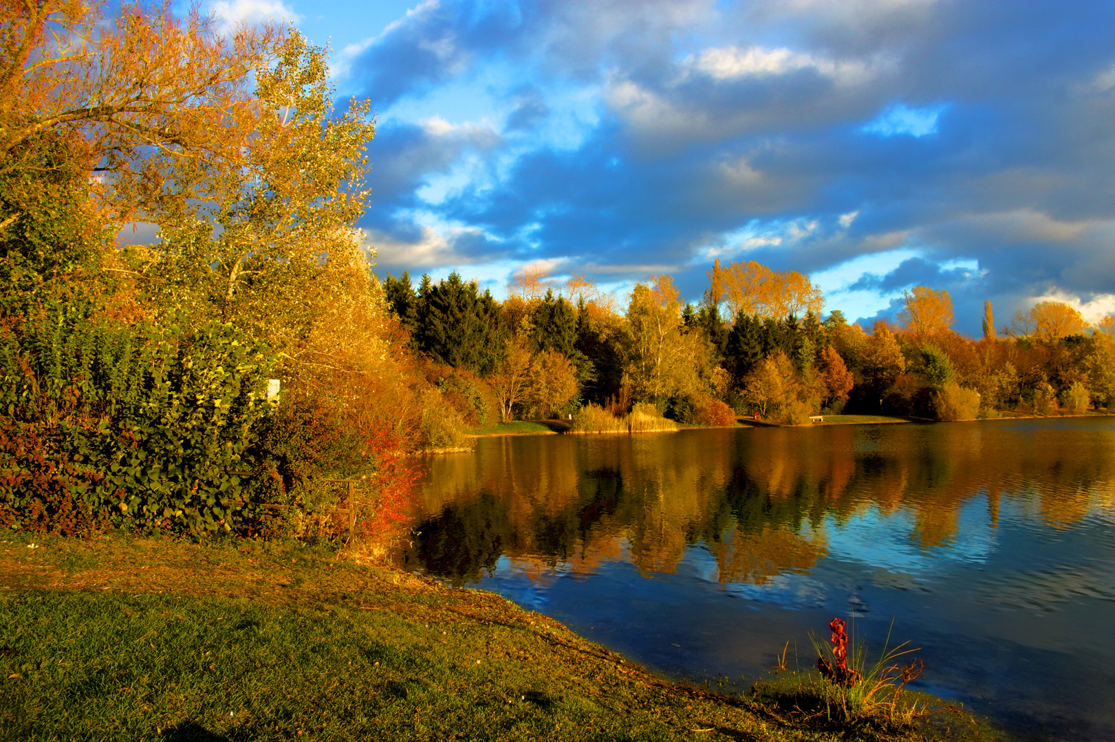 Schleißheimer See