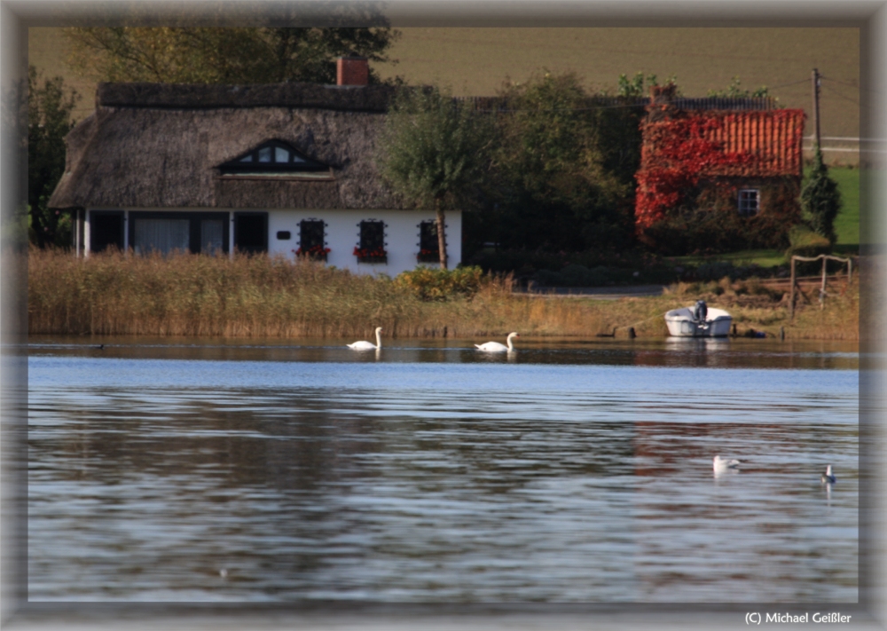 SchleiUferHerbst