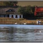 SchleiUferHerbst