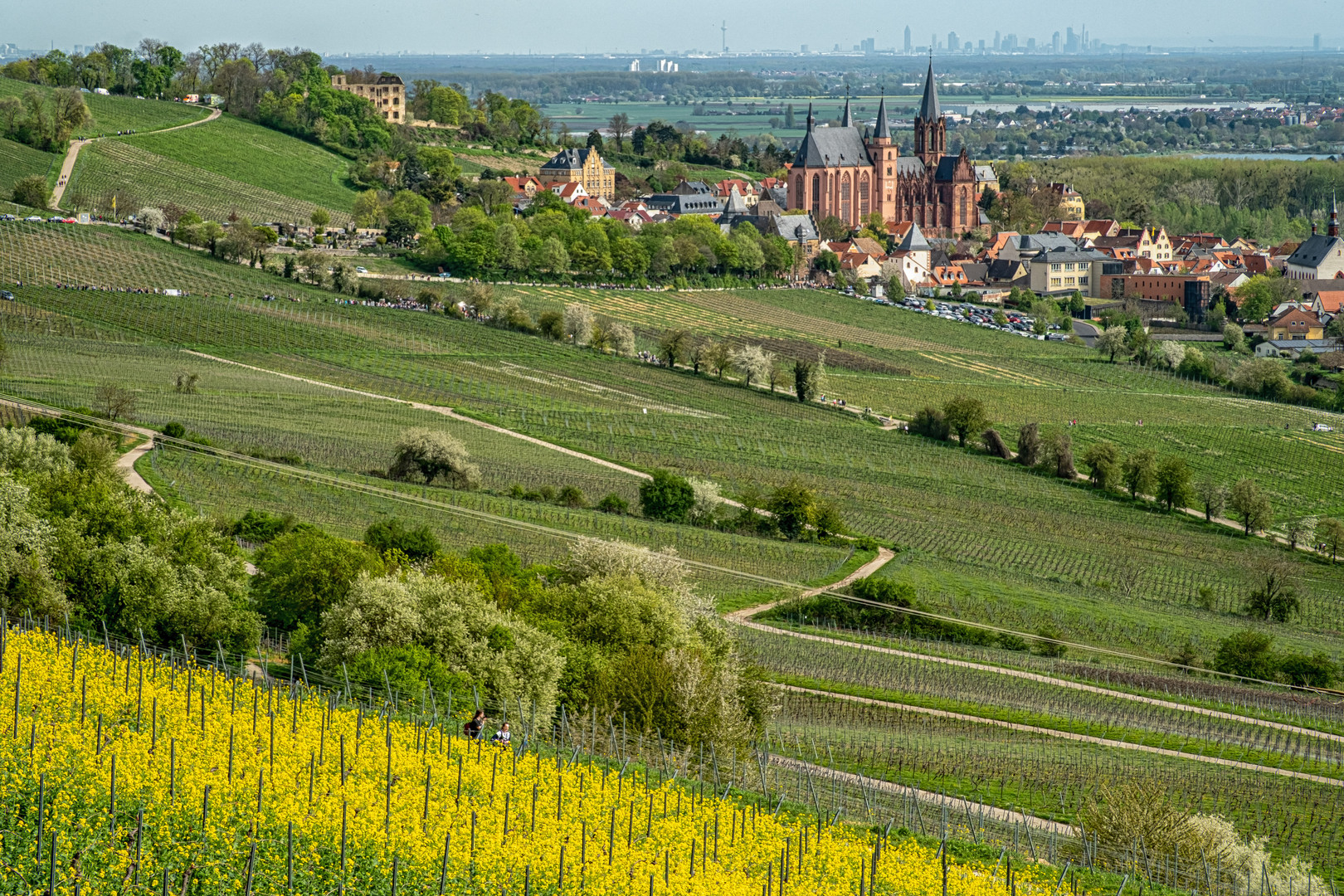 Schlemmerwandern in Oppenheim