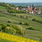 Schlemmerwandern in Oppenheim