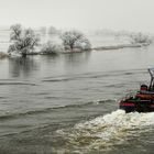 Schlepper an der Elbe