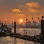 Schlepper-Anleger morgens im Hamburger Hafen bei Neumühlen