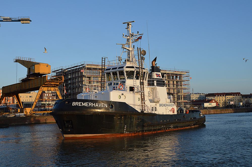 Schlepper Bremerhaven in der Marina