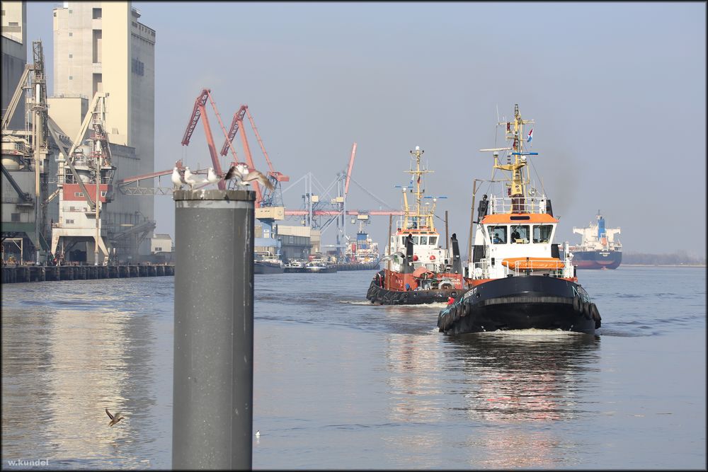 Schlepper im Braker Hafen