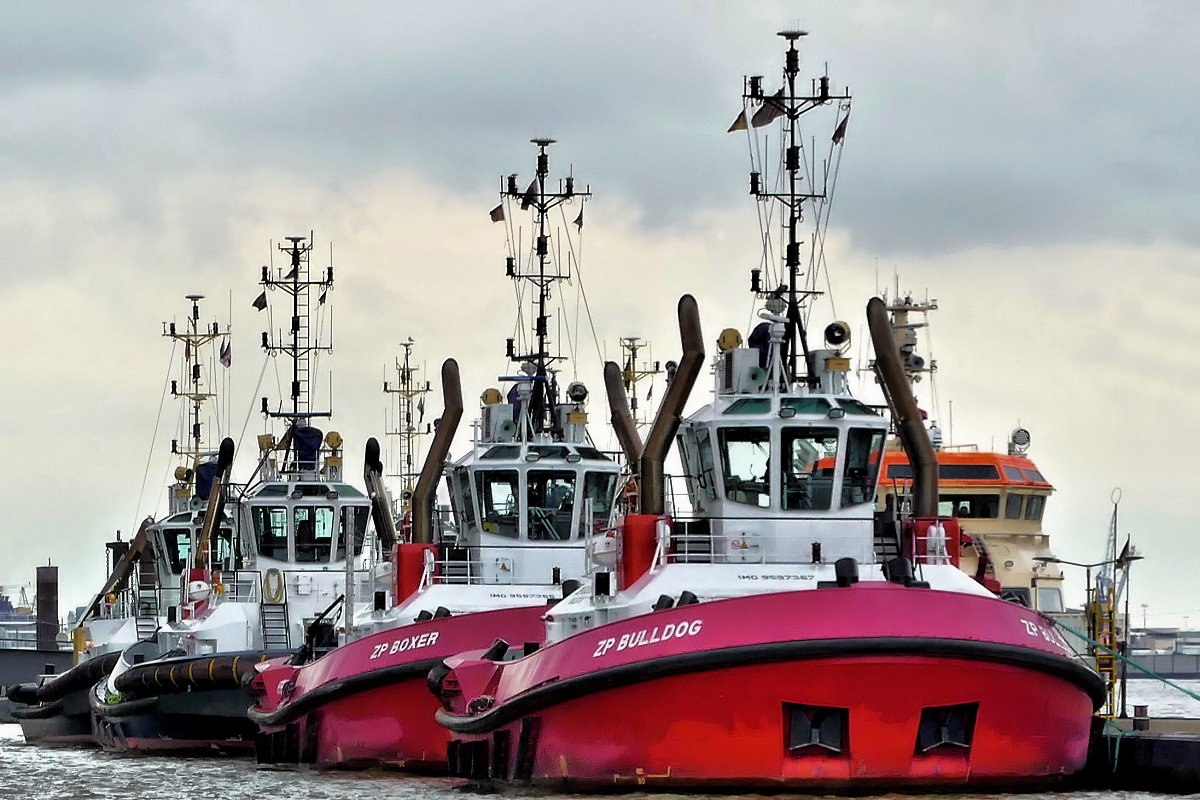 Schlepper im Hafen