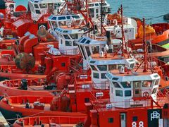 Schlepper im Hafen von Genua