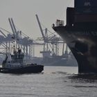 Schlepper im Hamburger Hafen