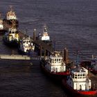 Schlepper im hamburger Hafen