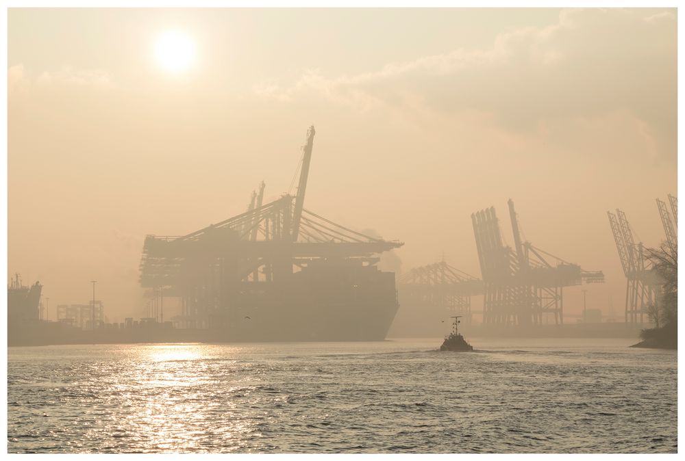 Schlepper im Morgenlicht