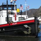 Schlepper Pilot auf dem Rhein in St. Goar