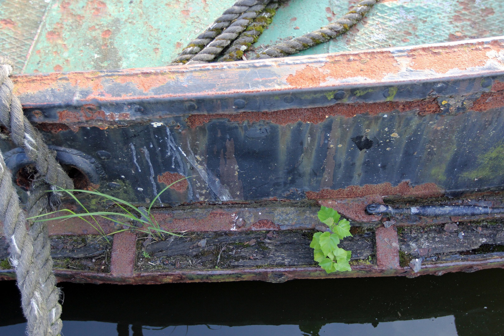 Schlepper Steppke / Bordwand