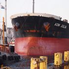 Schlepper Stier und Bulk Carrier Aom Julia