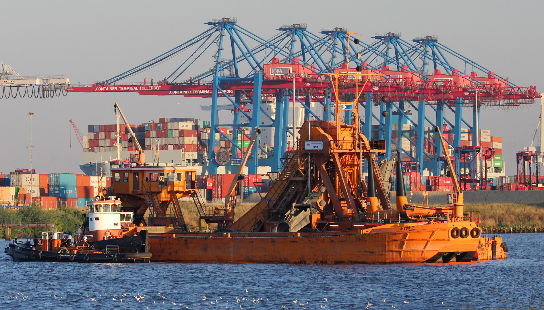 Schlepper TAIFUN mit Bagger im Einsatz für das Freihalten der Fahrrinne in der Elbe, Hamburg