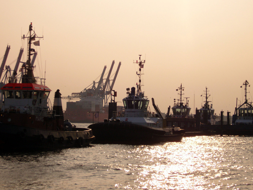 Schlepperhafen in Hamburg