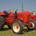 Schleppertreffen 2008 - hier zwei Porsche Diesel (Master und Standard)