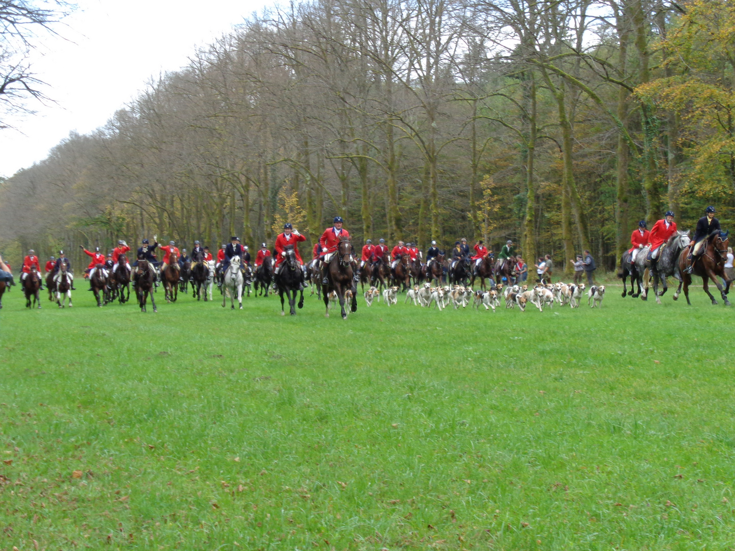 Schleppjagd auf Herrenchiemsee 2014