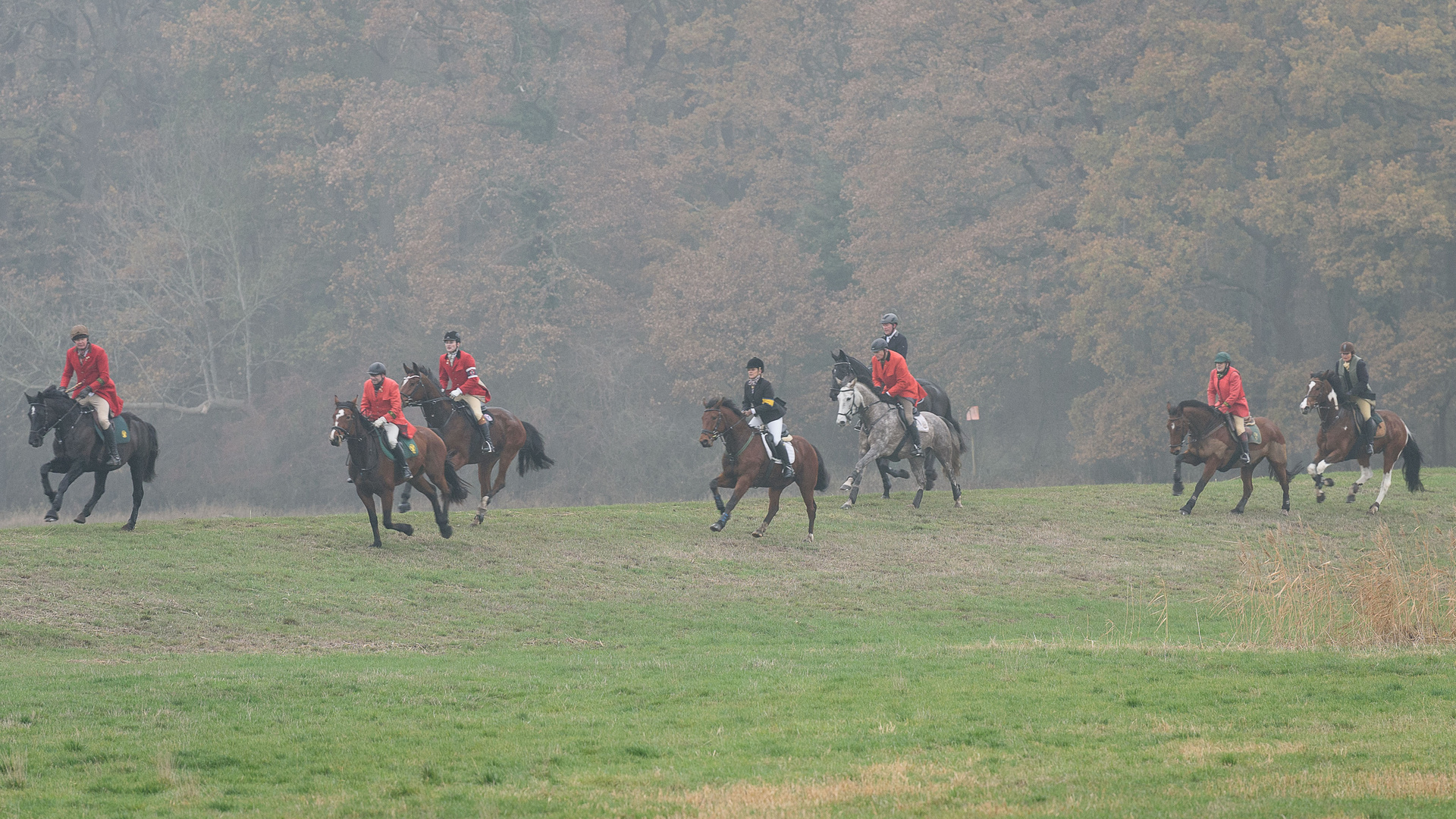 Schleppjagd im Herbst