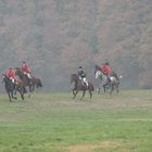 Schleppjagd im Herbst