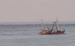 Schleppnetz vor Norderney1