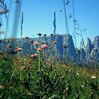 Schlern - Euringer- und Santnerspitze