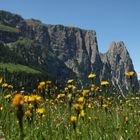 Schlern mit Santner- und Euringerspitze aus einer anderen Perspektive