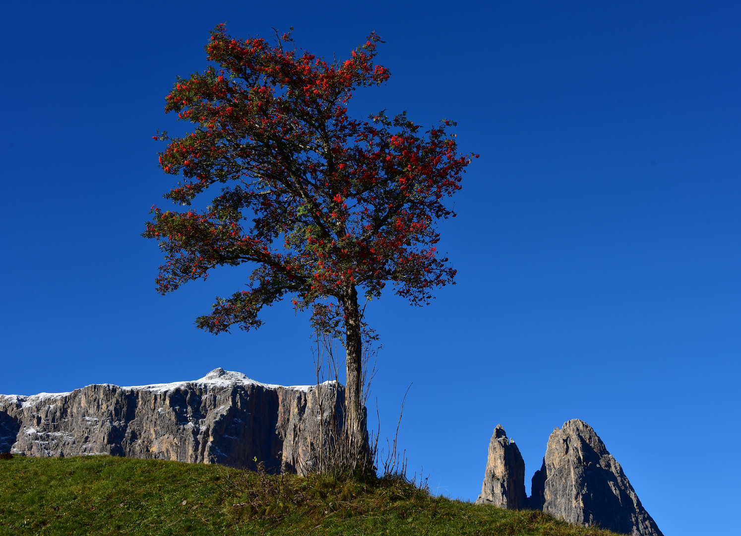 Schlern mit Schneehaube Foto &amp; Bild | landschaft, berge, gipfel und ...