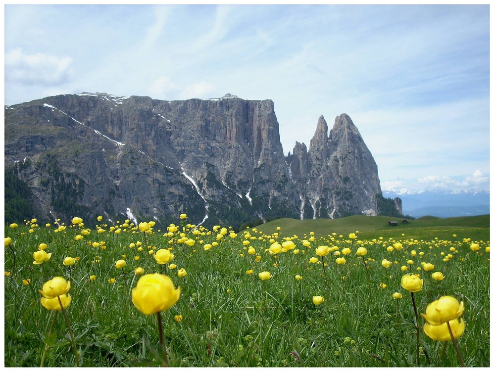 Schlern und Seiser Alm