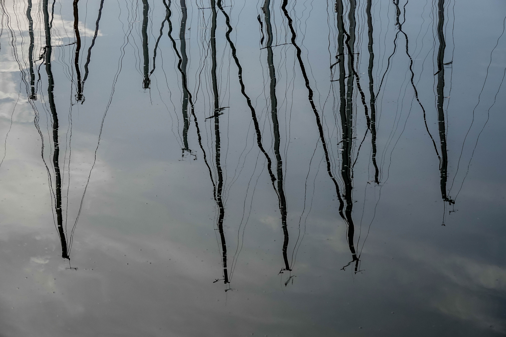 Schleswig an der Schlei (2)