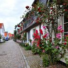 Schleswig - Fischersiedlung Holm 1