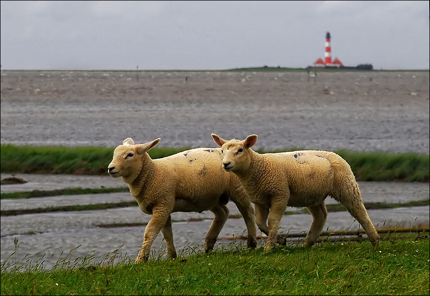 Schleswig-Holstein