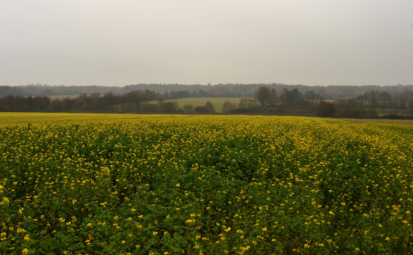 Schleswig-Holstein 2