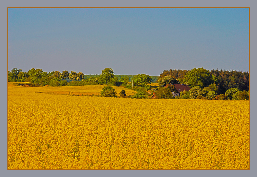 Schleswig Holstein