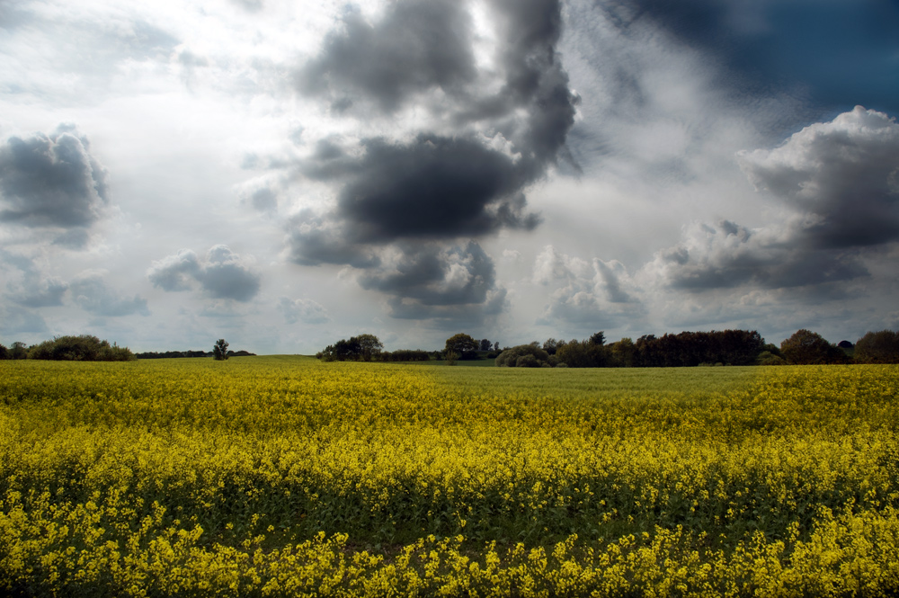 Schleswig Holstein