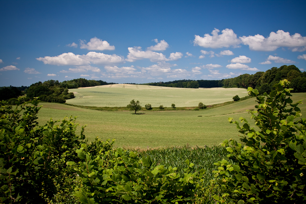 Schleswig-Holstein