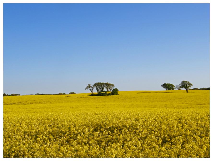 Schleswig Holstein im Mai