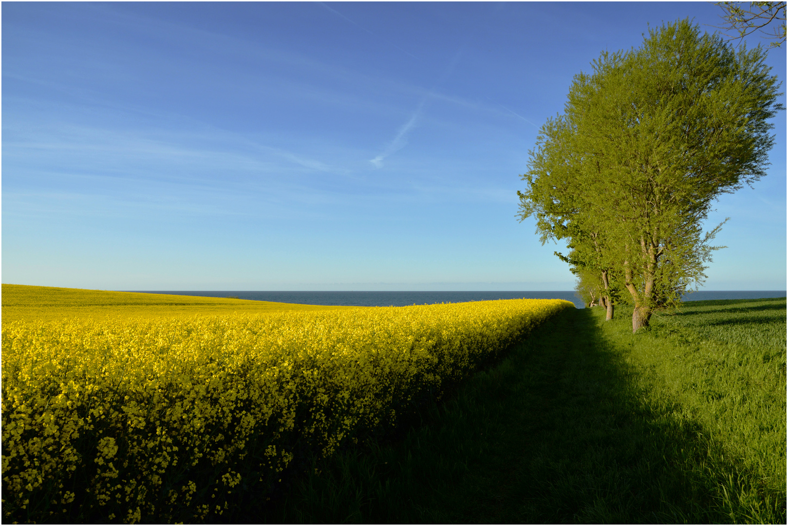 Schleswig-Holstein im Mai