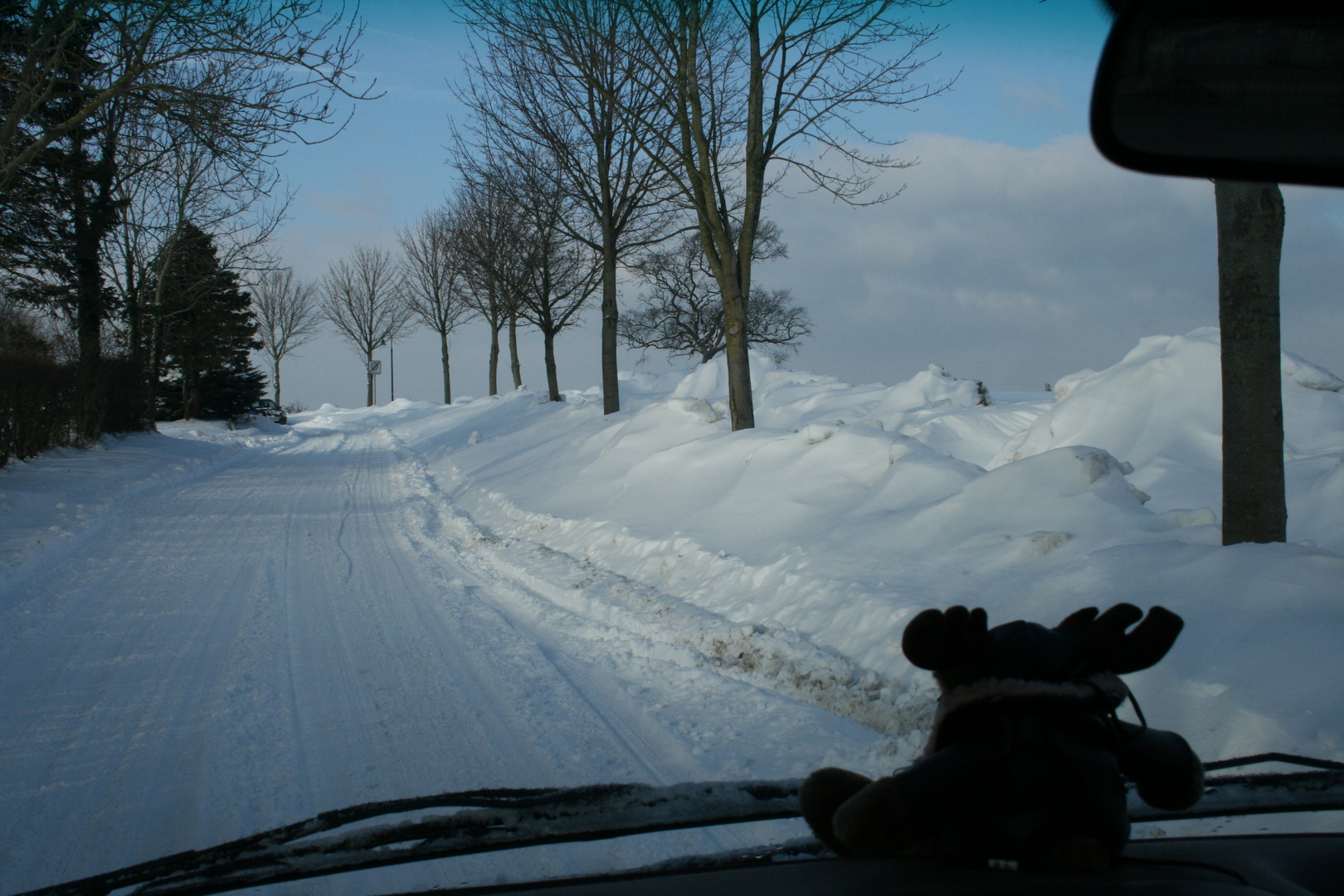 Schleswig -Holstein im Winter