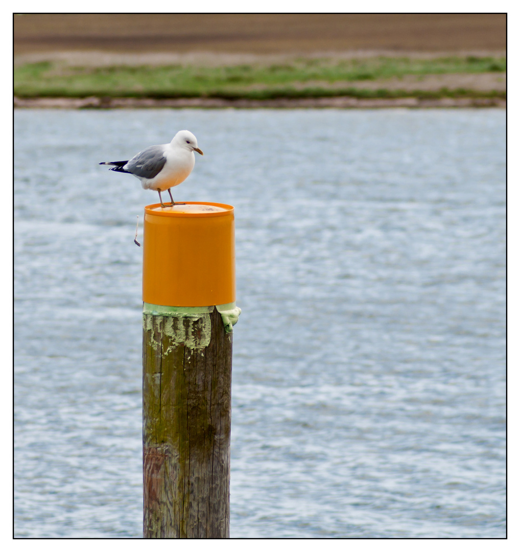 Schleswig-Holstein-Impressionen VII