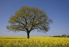 Schleswig-Holstein ist eine Reise wert