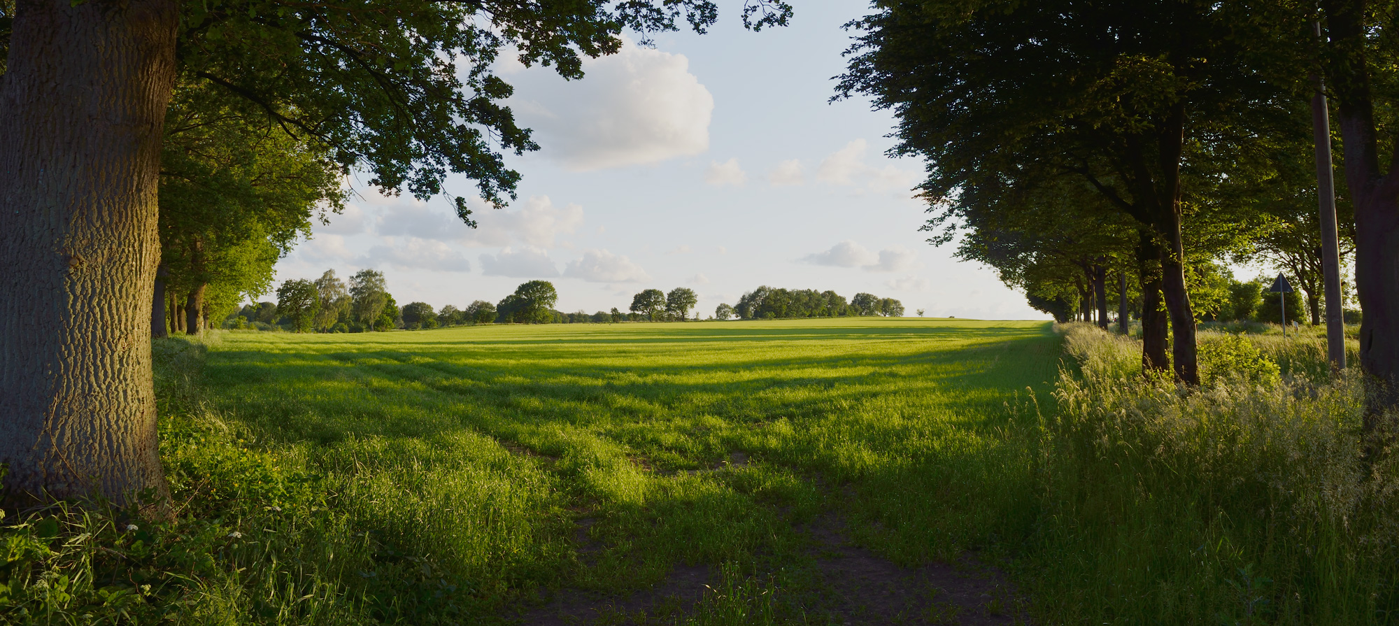 Schleswig-Holstein, mon Amour