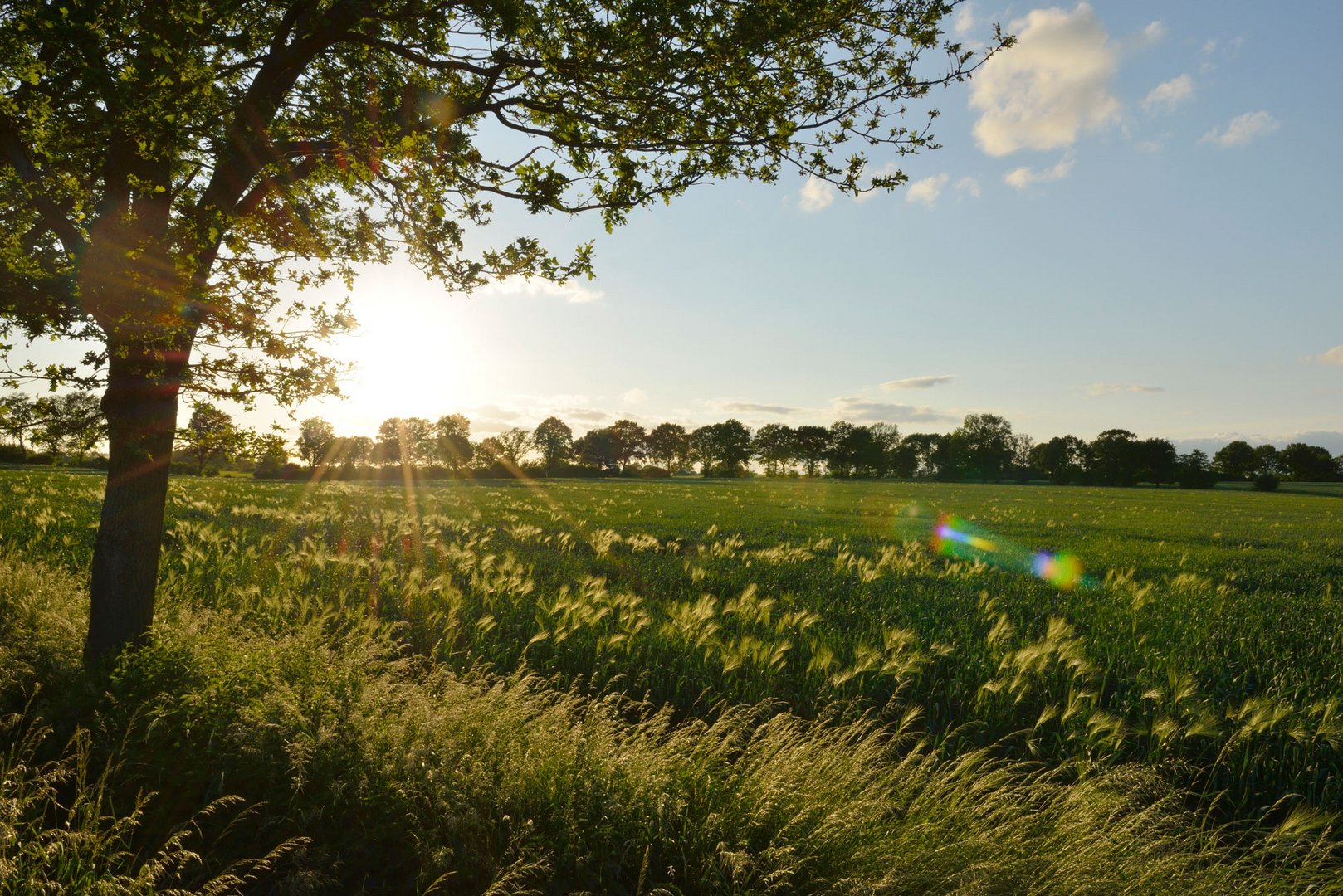 Schleswig-Holstein, mon Amour III